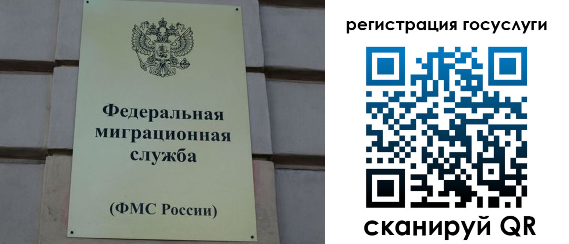 временная регистрация поиск в Приморском крае